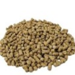 Pullet  Feed