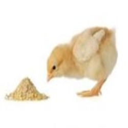 Starter/Crumble Feed 